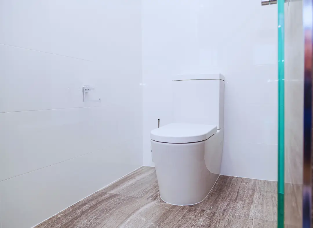 Remplacement de wc Sospel